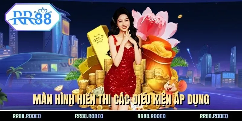 Màn hình hiển thị các điều kiện áp dụng