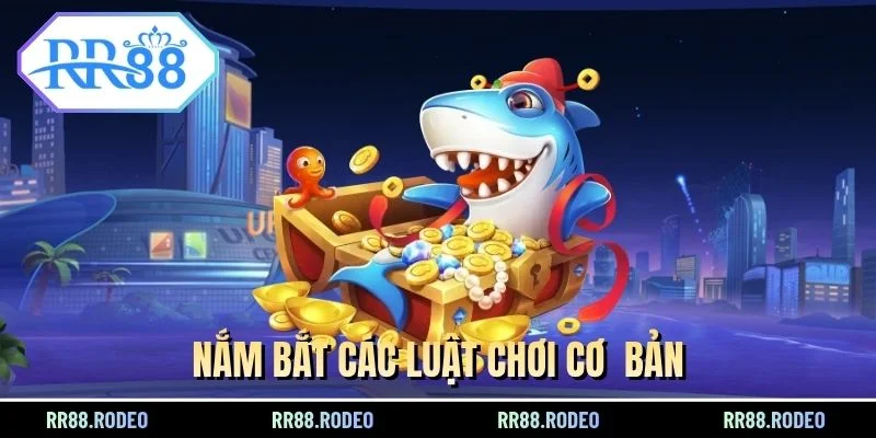 Nắm bắt các luật chơi cơ  bản